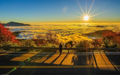 高雄包車旅遊、天地玩家包車旅遊為您服務